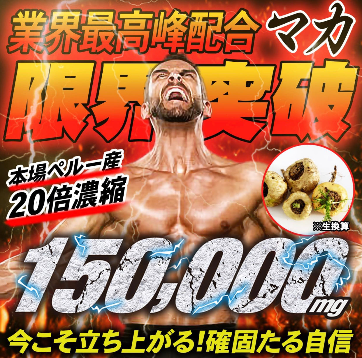 Neo瑪卡 EX 男性活力強效配方