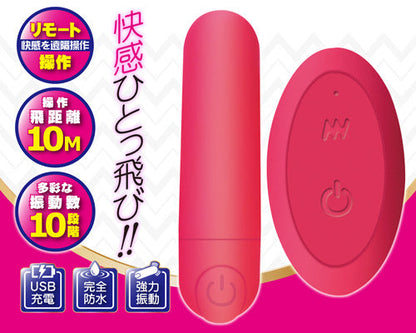 Remote in 遙控震蛋套裝+粉紅色內褲